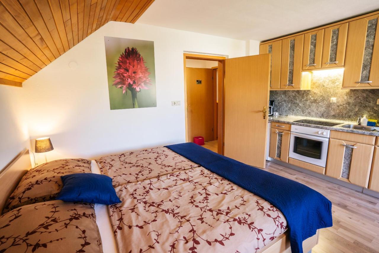 Apartmaji Alpski Cvet - Hisa Gorenc Бохінь Екстер'єр фото
