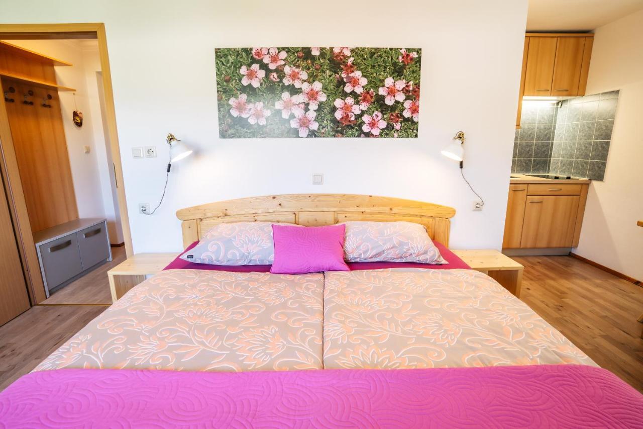 Apartmaji Alpski Cvet - Hisa Gorenc Бохінь Екстер'єр фото
