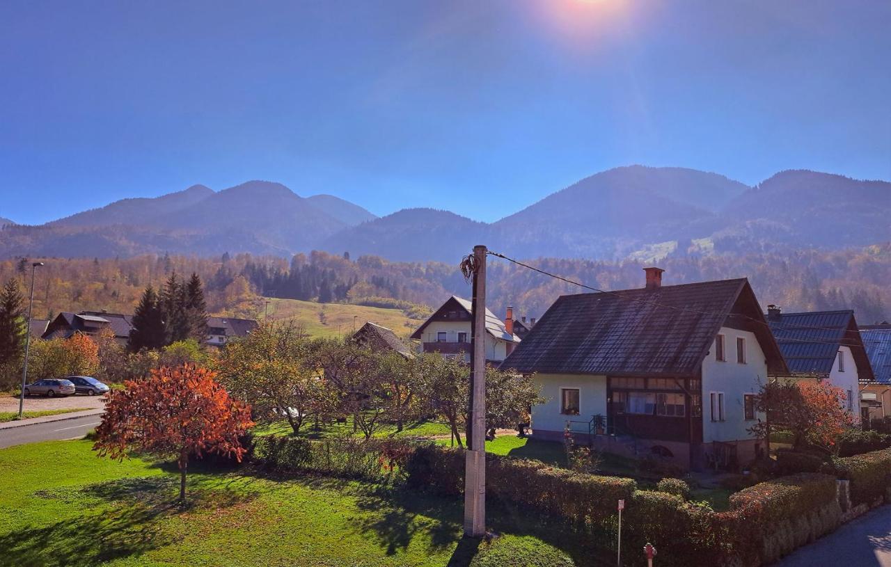 Apartmaji Alpski Cvet - Hisa Gorenc Бохінь Екстер'єр фото