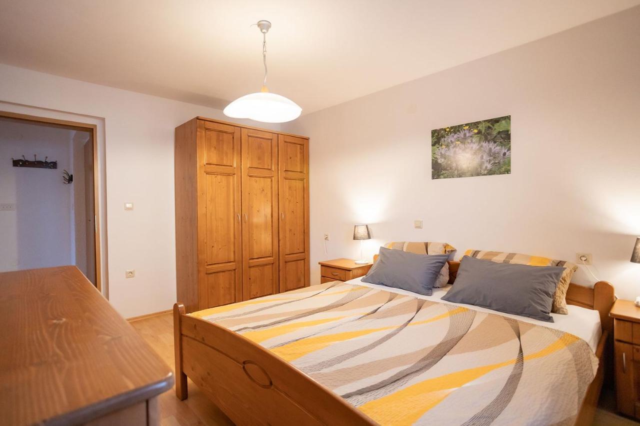 Apartmaji Alpski Cvet - Hisa Gorenc Бохінь Екстер'єр фото