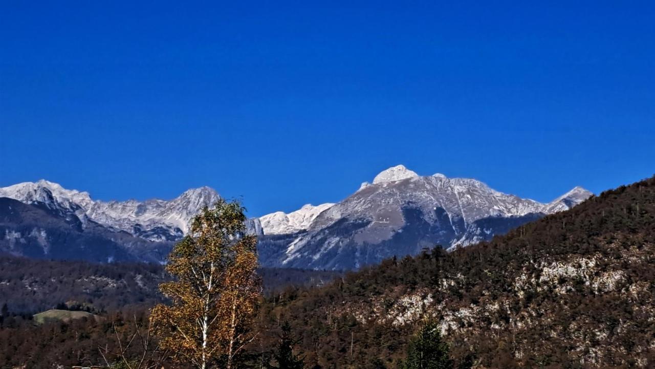 Apartmaji Alpski Cvet - Hisa Gorenc Бохінь Екстер'єр фото