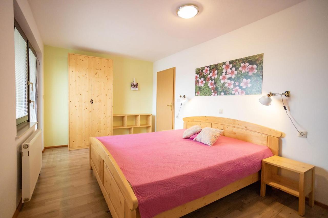 Apartmaji Alpski Cvet - Hisa Gorenc Бохінь Екстер'єр фото