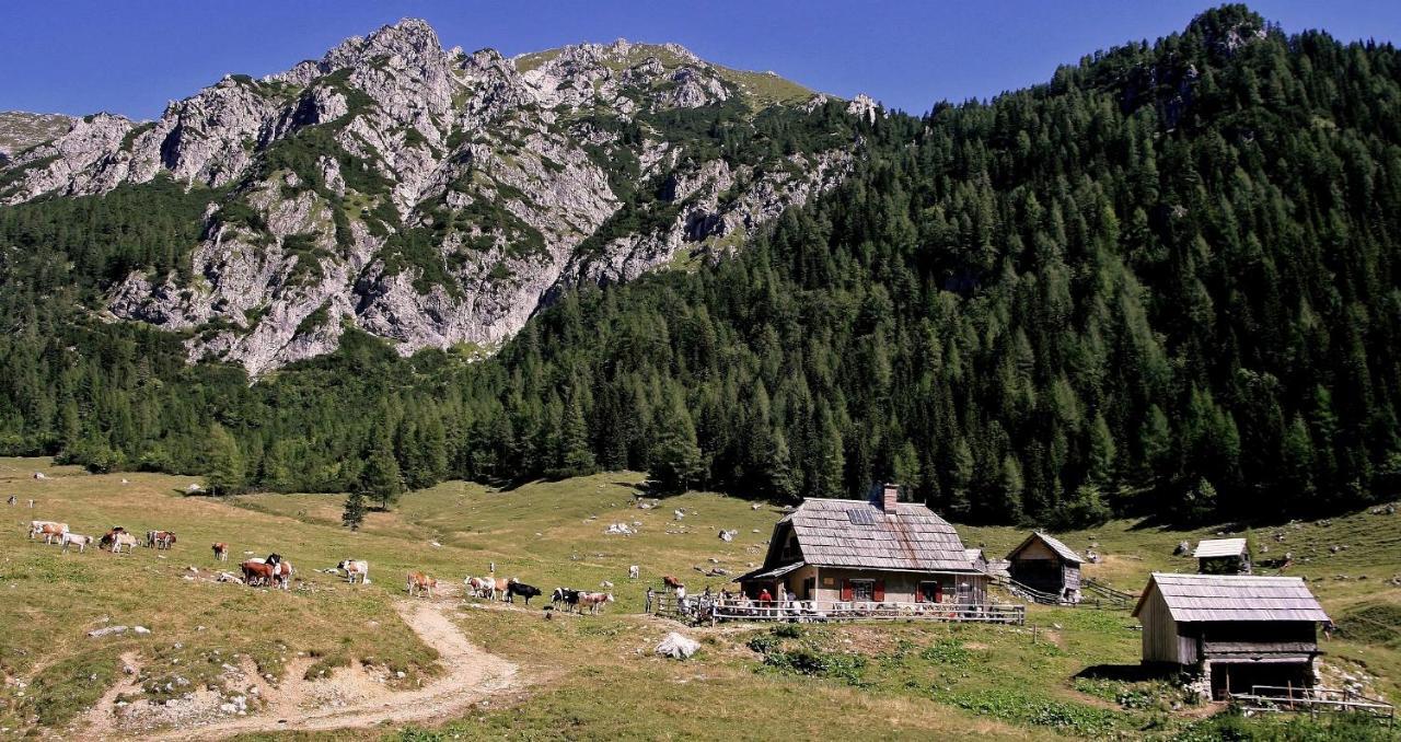 Apartmaji Alpski Cvet - Hisa Gorenc Бохінь Екстер'єр фото