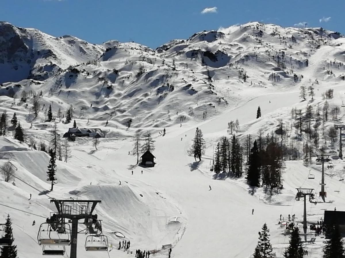 Apartmaji Alpski Cvet - Hisa Gorenc Бохінь Екстер'єр фото
