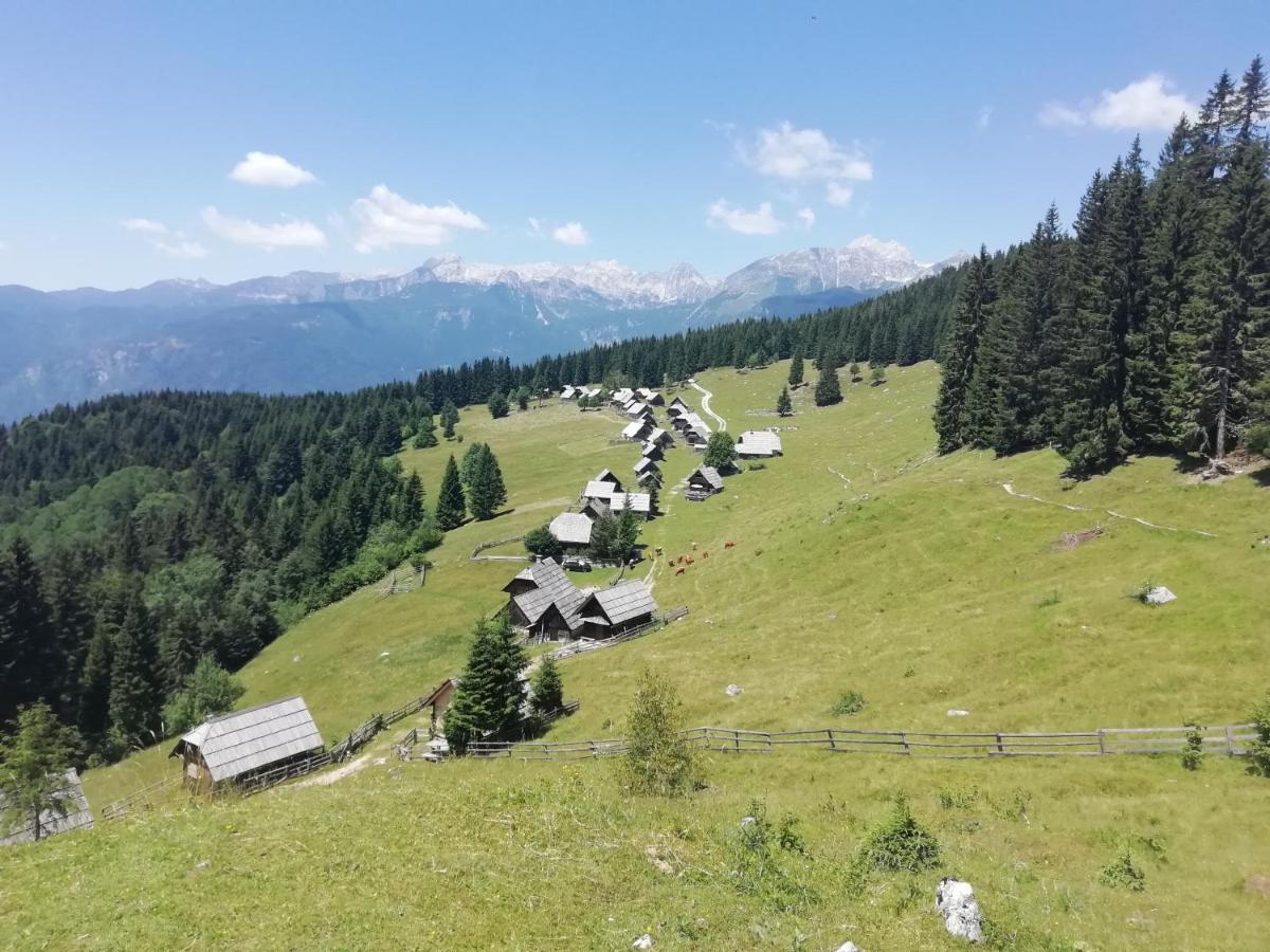 Apartmaji Alpski Cvet - Hisa Gorenc Бохінь Екстер'єр фото